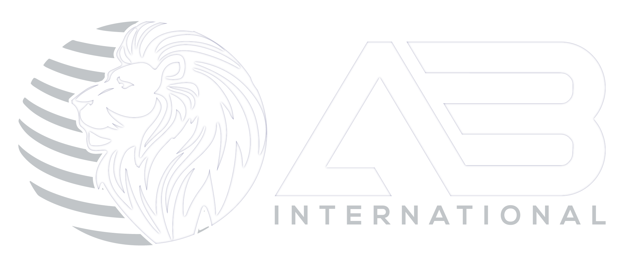 A3 International